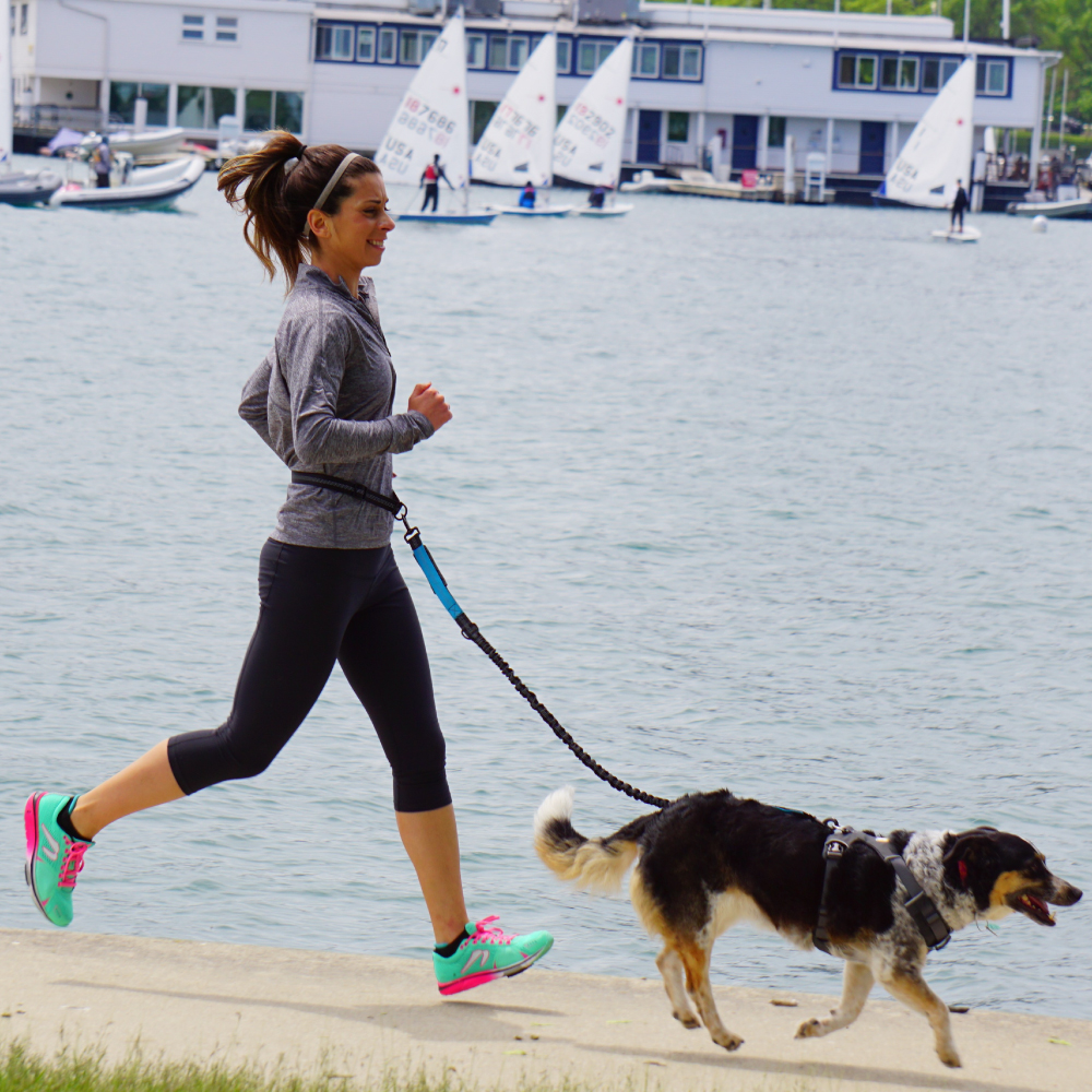 Hand Free Dog Leash for Pet Wa - Running Jogging Gear avis et prix