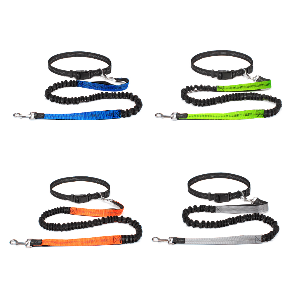 Hand Free Dog Leash for Pet Wa - Running Jogging Gear avis et prix